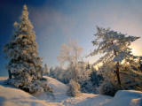 Národní park Koli